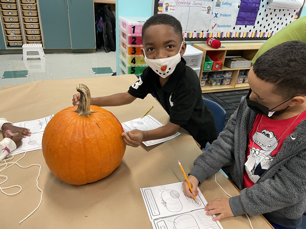Mrs_Courlas's tweet photo. Lots of fun with pumpkins today -  making estimates, measuring, and counting seeds today! We decided it was more efficient to count by 10s! Part 1 #TeamTussing #PLSDproud #FallFun #fabulousinfirst https://t.co/lFmnJdihuS