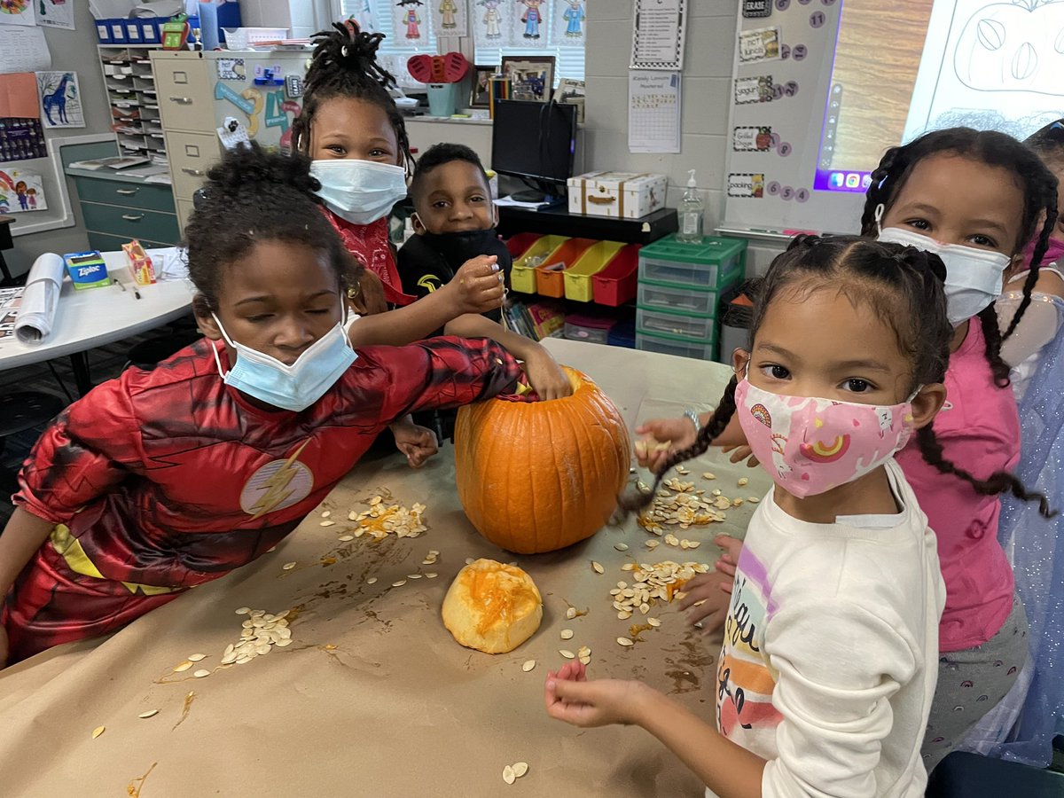Mrs_Courlas's tweet photo. Lots of fun with pumpkins today -  making estimates, measuring, and counting seeds today! We decided it was more efficient to count by 10s! Part 1 #TeamTussing #PLSDproud #FallFun #fabulousinfirst https://t.co/lFmnJdihuS