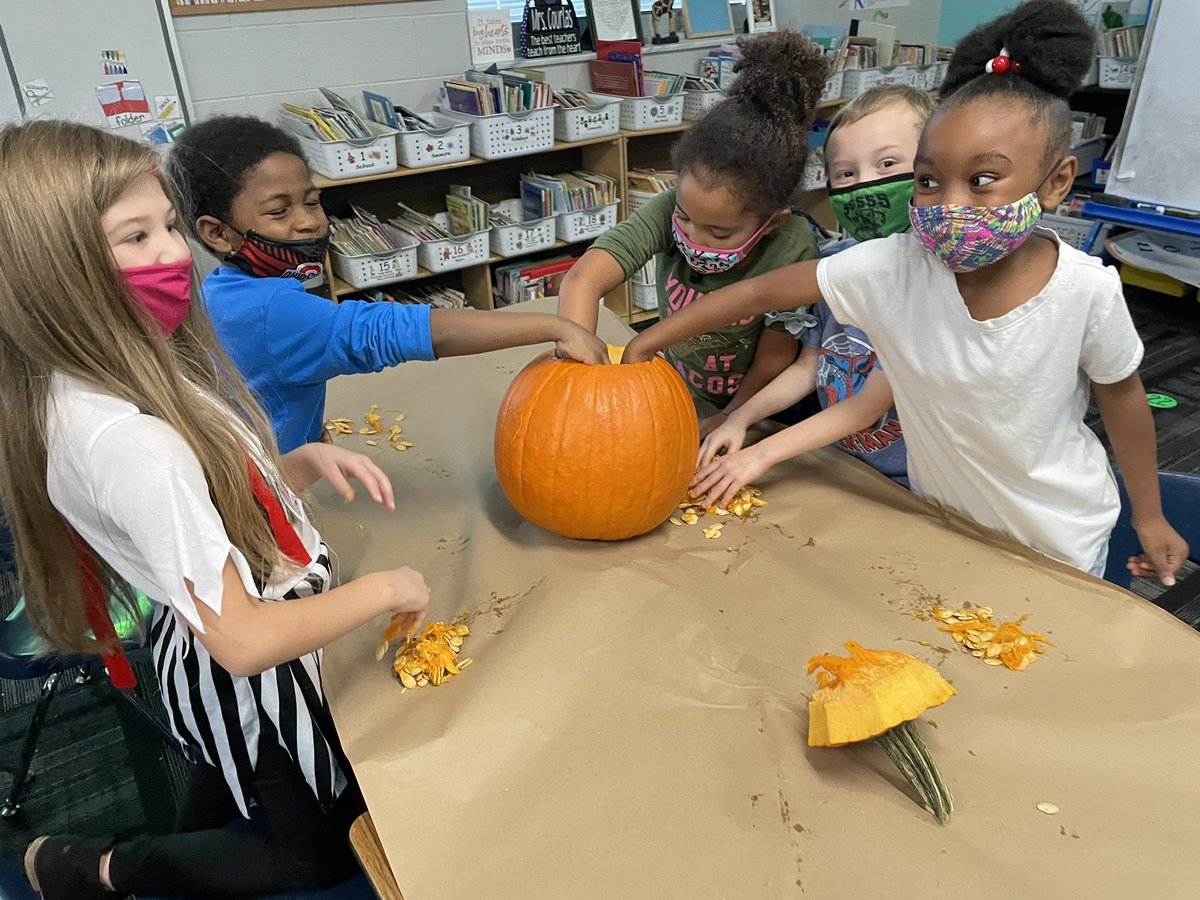 Mrs_Courlas's tweet photo. Lots of fun with pumpkins today -  making estimates, measuring, and counting seeds today! We decided it was more efficient to count by 10s! Part 1 #TeamTussing #PLSDproud #FallFun #fabulousinfirst https://t.co/lFmnJdihuS