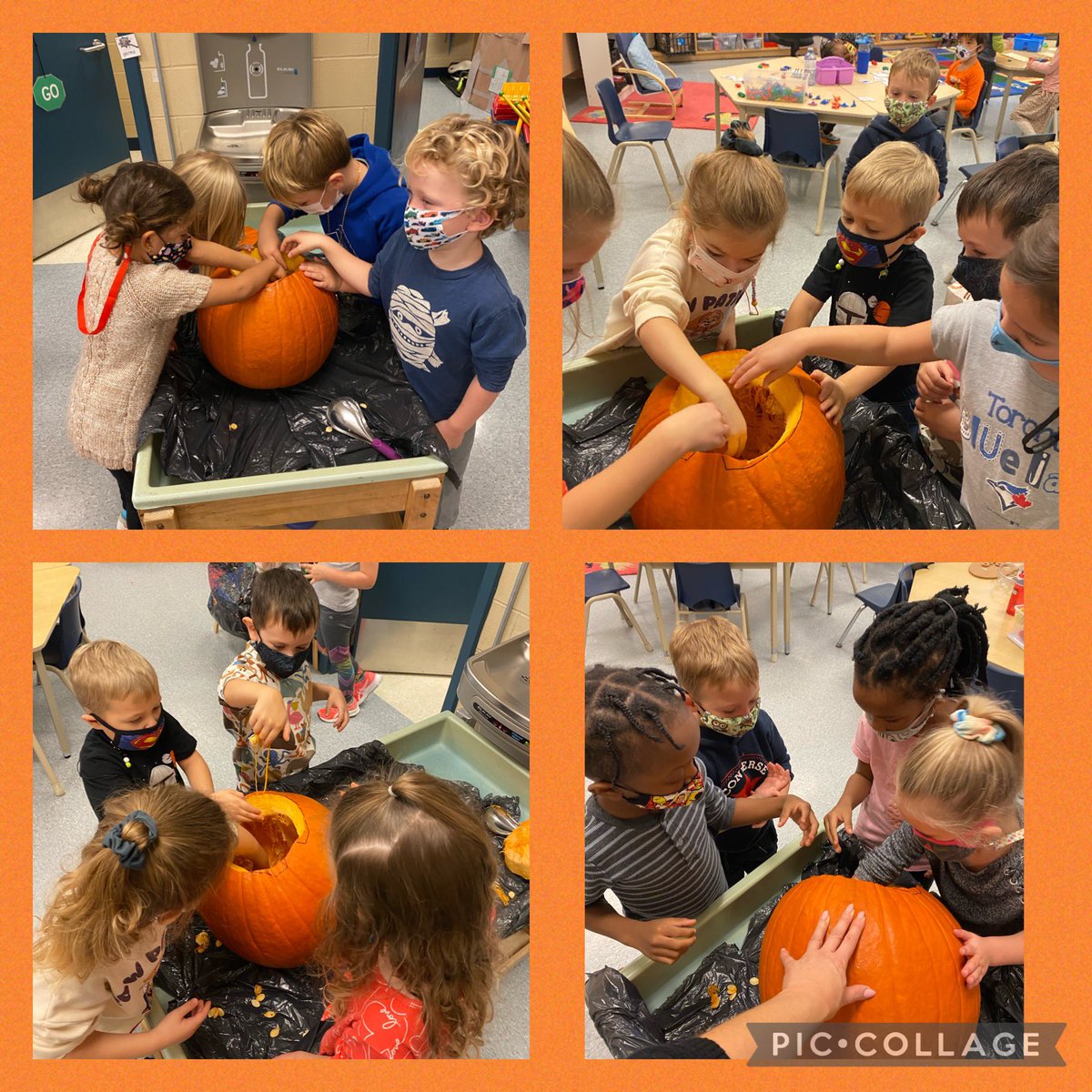 MissRibeiro5's tweet photo. This week we explored and learned about all things pumpkins as we geared up for our Halloween celebration! #Kindergarten #learningthroughexploration #pumpkin #lifecycleofapumkin @shcsparis https://t.co/DZpNxhcdyT