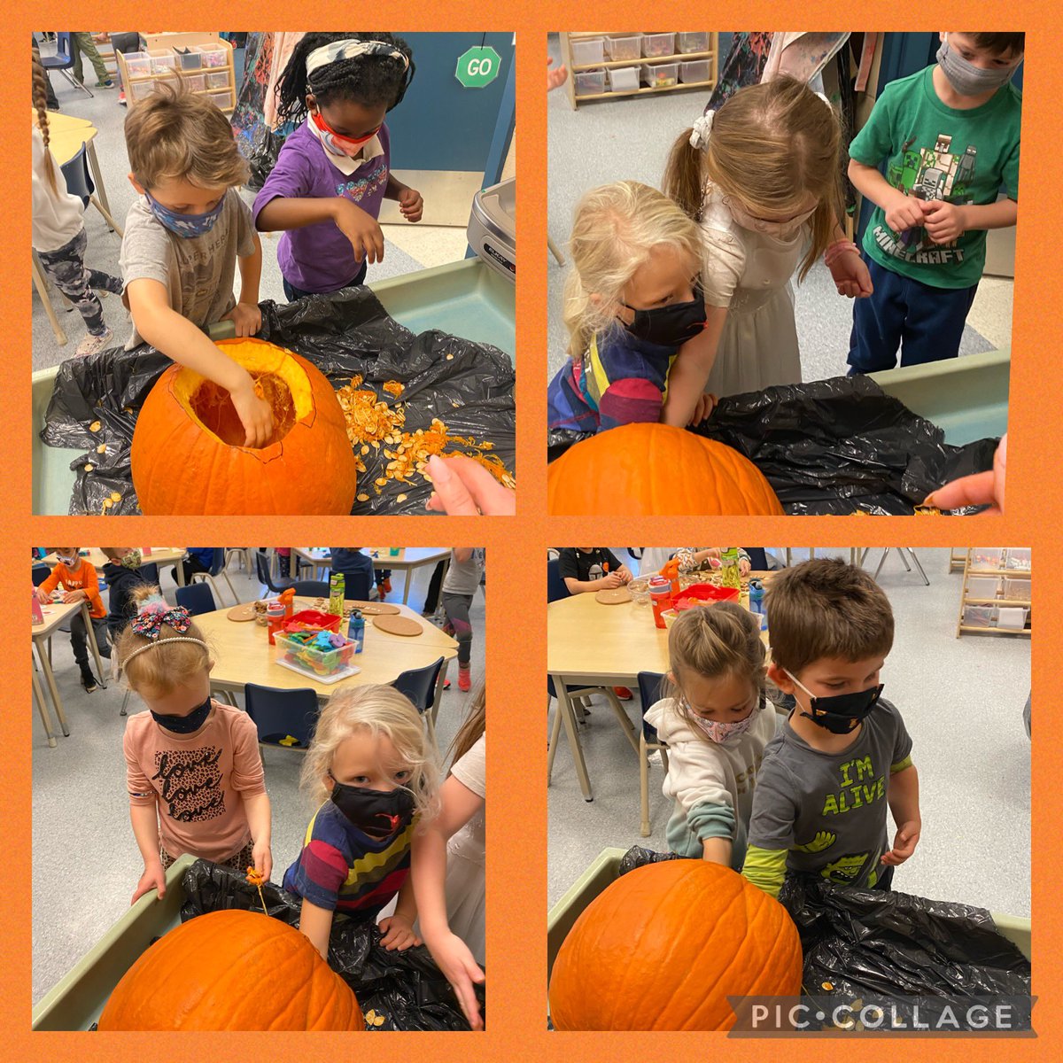 MissRibeiro5's tweet photo. This week we explored and learned about all things pumpkins as we geared up for our Halloween celebration! #Kindergarten #learningthroughexploration #pumpkin #lifecycleofapumkin @shcsparis https://t.co/DZpNxhcdyT