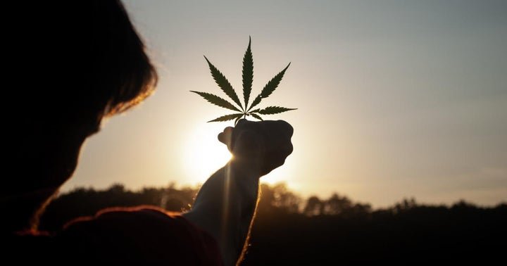 MichaelM_NFT's tweet photo. Cannabis Movers &amp; Shakers: Acreage, MedMen, Halo Collective, Fire &amp; Flower, Cronos Group, Perfect Union https://t.co/1RFZpByd0U #AAPL #ACRHF https://t.co/iRJfchhfYB