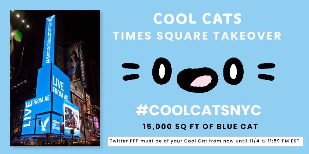 Cool Cats tweet media