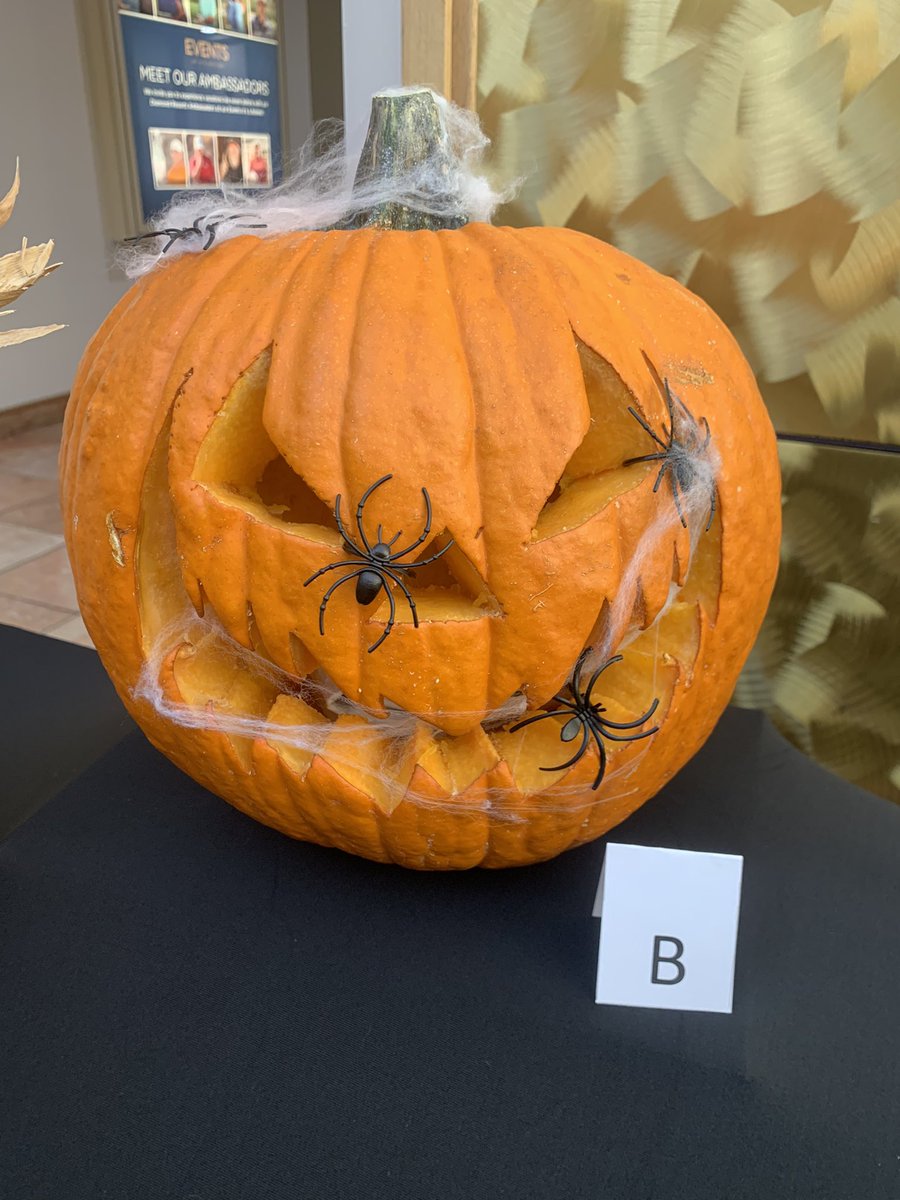 Samantha Pittman tweet media