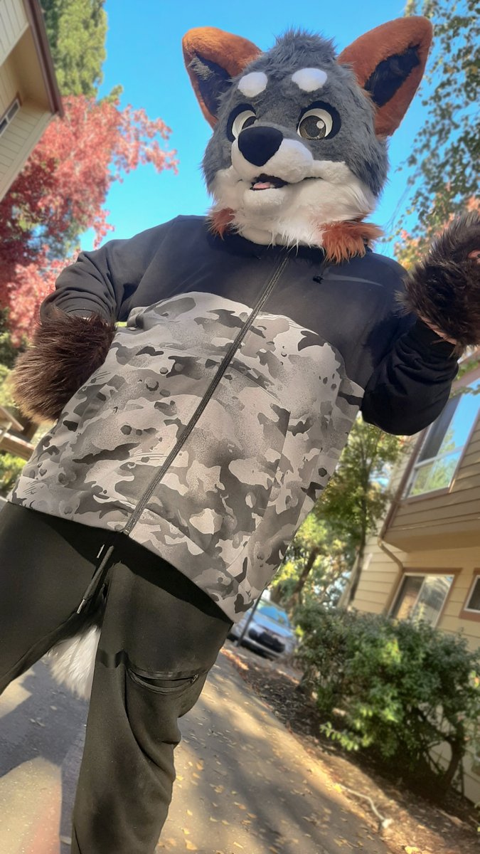 Phant0mFox's tweet image. So excited to be able to do my first #FursuitFriday ! It felt so good wearing my partial fully :3
Head by @Tentakalcreates
Paws by @furtasticgoods
Tail by @JustFurKicks
