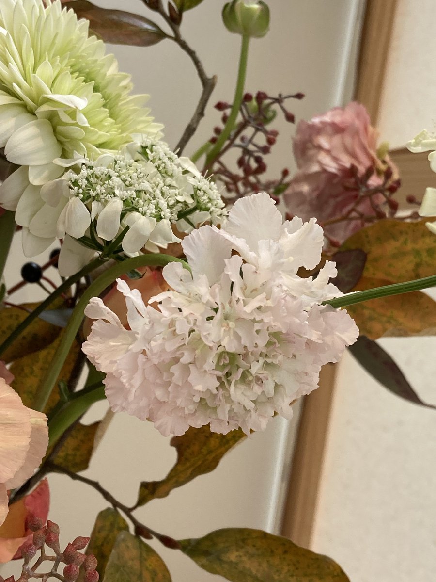 하나하나 다 예뽀