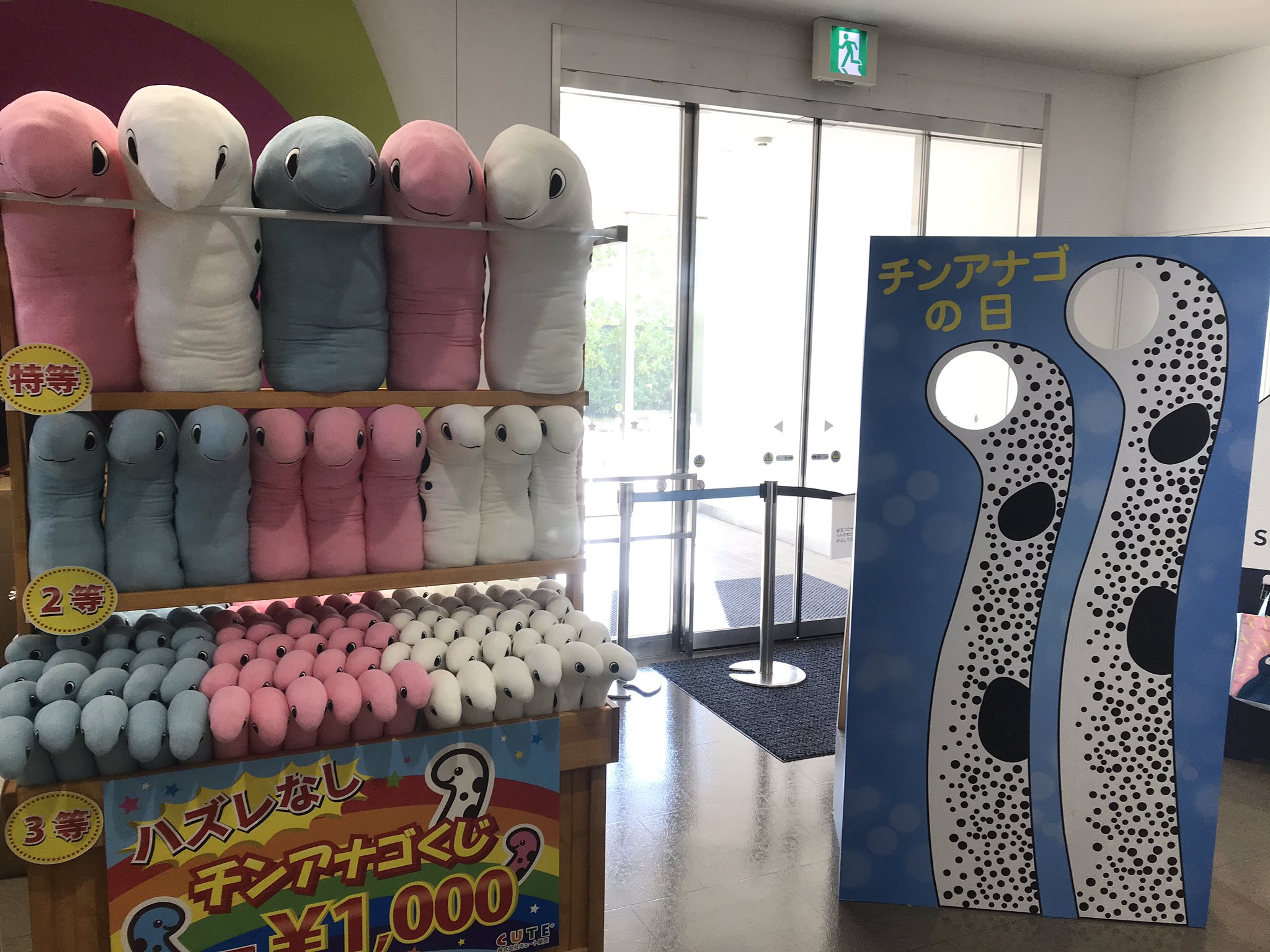 仙台うみの杜水族館公式 on X: 