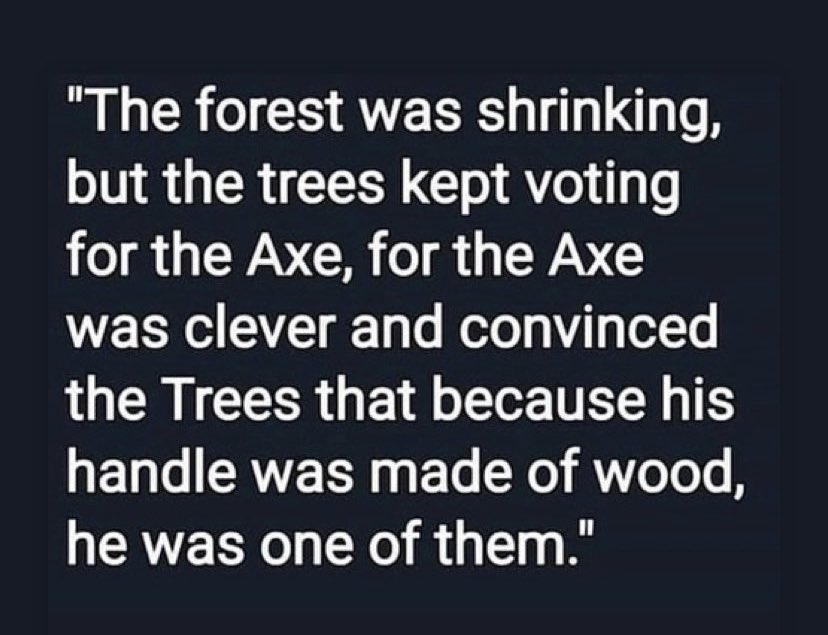 Lizzy 🏴󠁧󠁢󠁳󠁣󠁴󠁿🇬🇧🇨🇦 tweet media