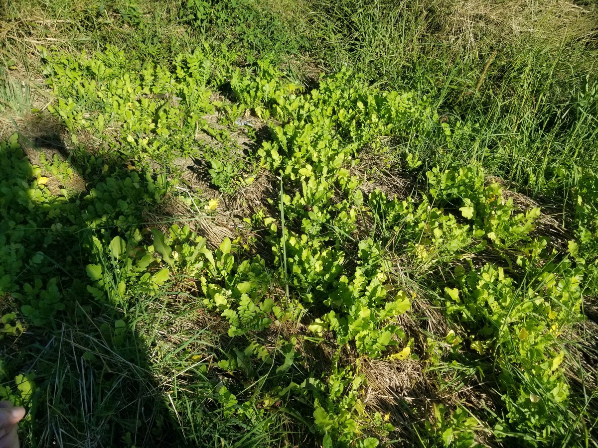 Asylum Seaker tweet media