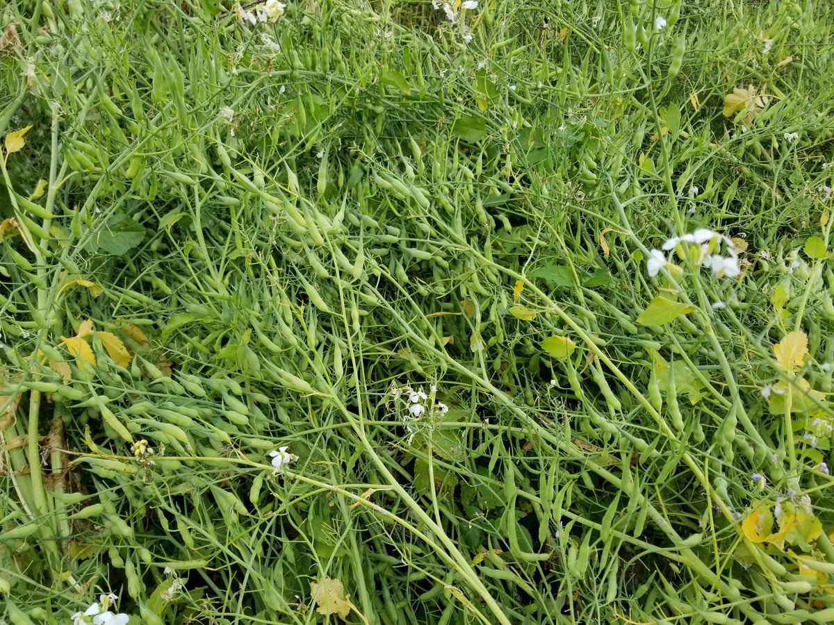 Asylum Seaker tweet media