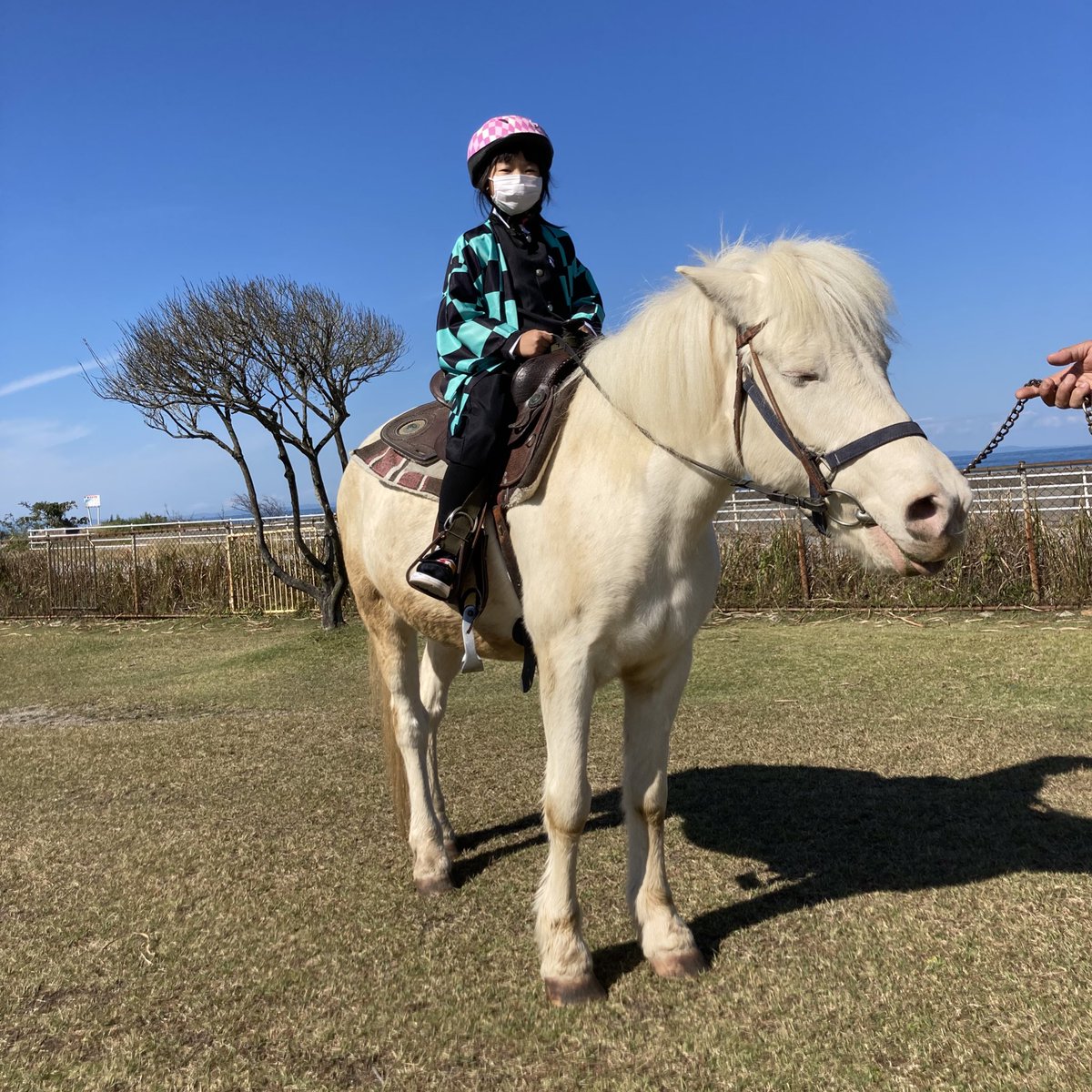 いよいよハロウィンですね
遊園地でも久しぶりにコスプレのお客さんも！
楽しいが最高！
※撮影の時だけマスクを外しました
#富山 #魚津 #ふれあい牧場 #フロンティア #馬 #外乗 #ハロウィン #ジョジョ #鬼滅の刃