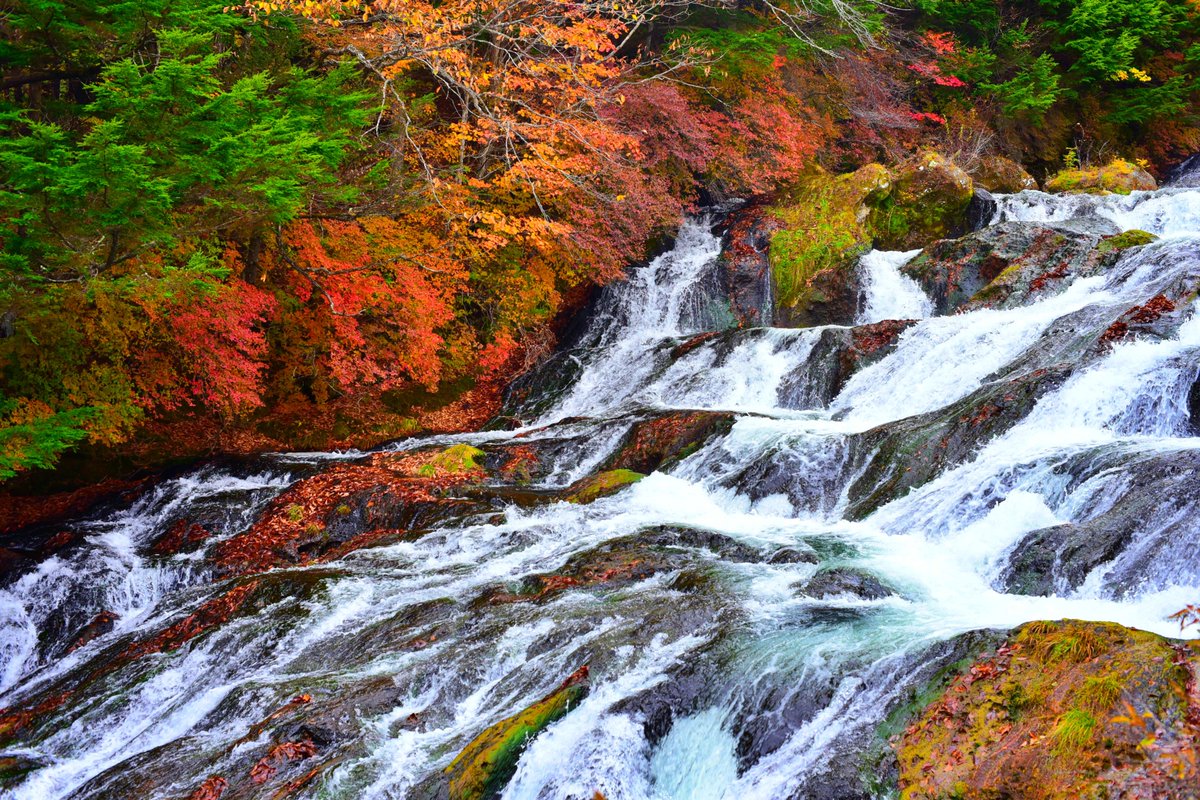 うずらインフォ エッセイ風漫画とか Uzurainfo Test Twitter