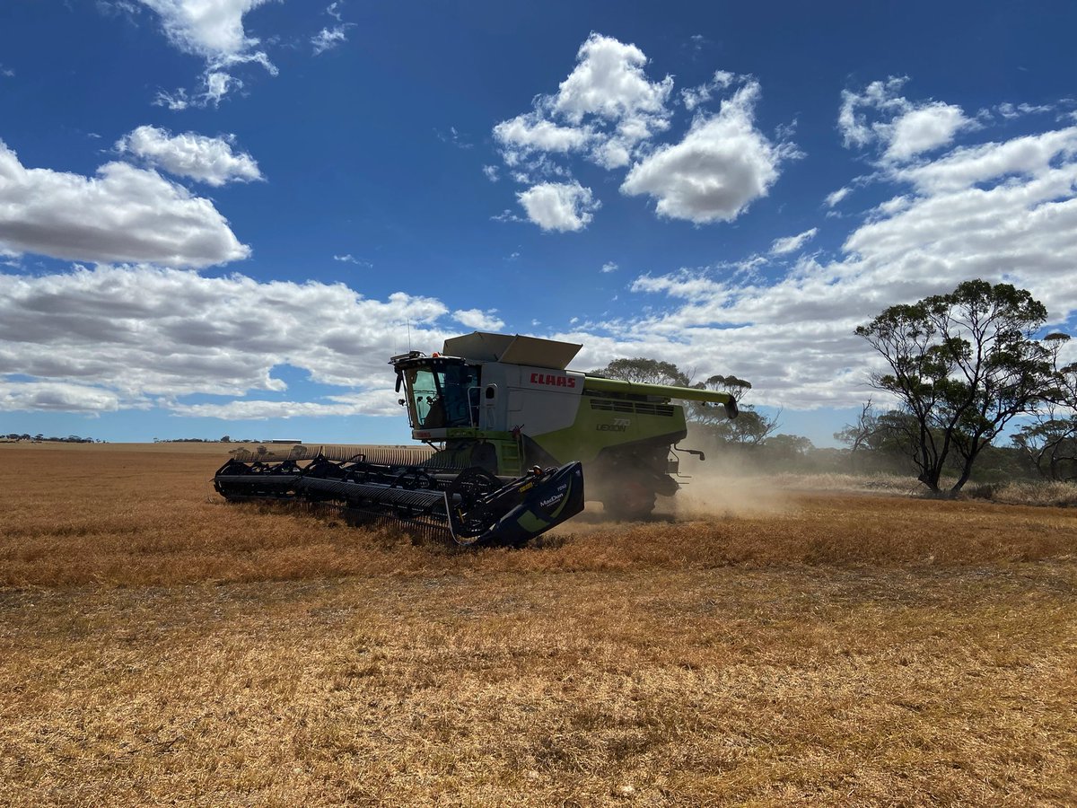 In to it! 👏 <a href="/PridAgri/">Daniel Pridham</a>