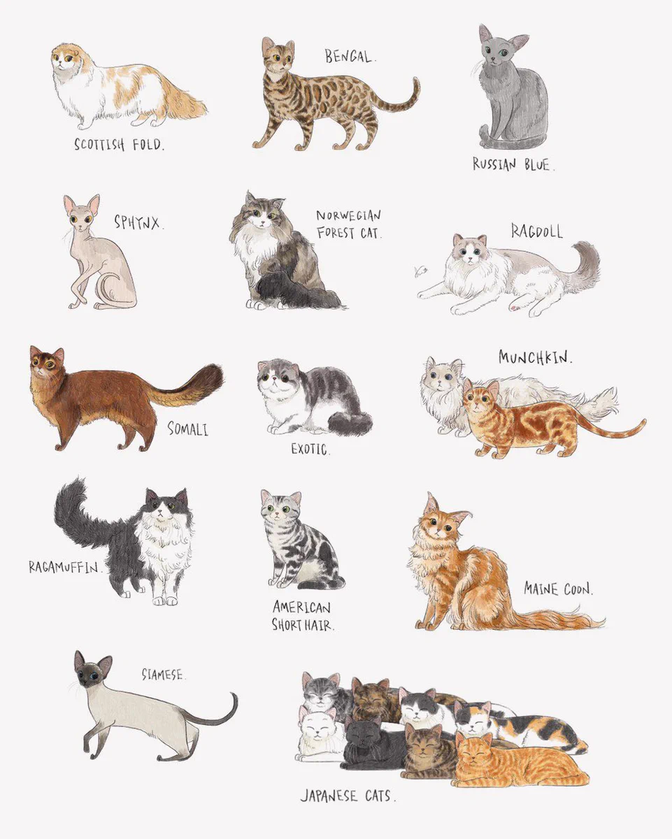 描いた自分もびっくり！思わず自画自賛するほど可愛く描けた猫たち！