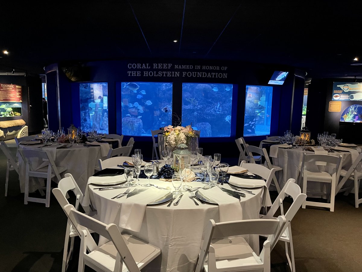 rhythmexpressdj's tweet photo. Great crowd at this evening's #wedding at @mysticaquarium in #mysticct. Congrats Alyssa & Jake!
#weddings #weddingstyle #weddingday #weddinginspiration #weddinginspo #dj #bridalinspo #engaged #engagedri #401love #aquarium #ctwedding #instabride #instawedding #aquariumwedding https://t.co/MPfUfjK4Sj
