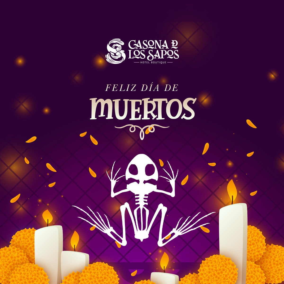 Casona de los Sapos tweet media