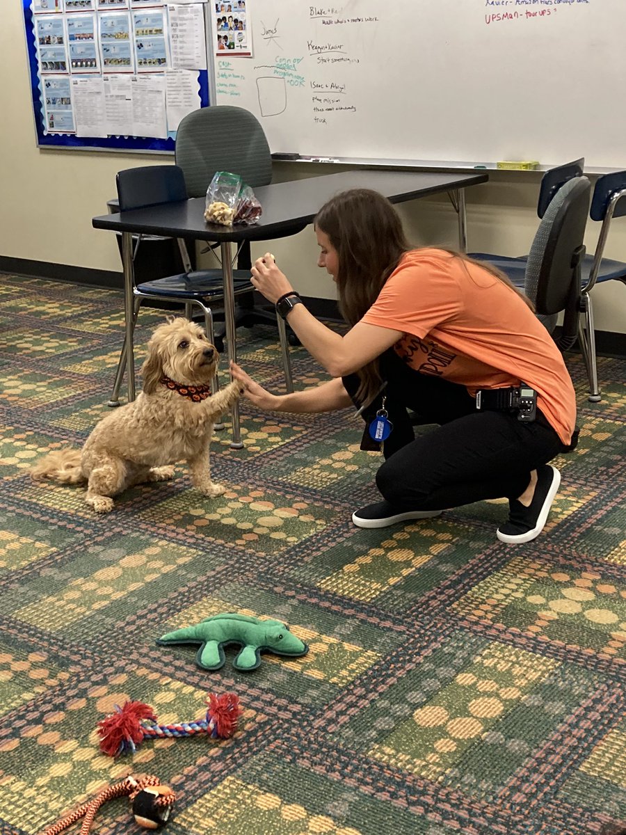 MrsWilliamsHCSD's tweet photo. Who says you can’t have fun AND learn on Halloween? Our 3rd graders LOVED getting to spend time with @BWAsstPHCSD and her pup, Beau as a reward for state testing! https://t.co/qOqw75SrfK