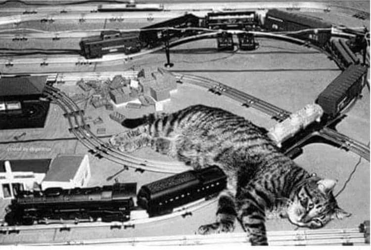 duty2warn's tweet photo. The real reason the supply chain has been interrupted. https://t.co/DTBcoZ3y1k