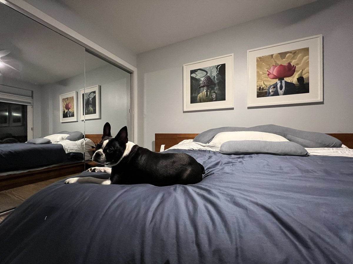 NFT art and Dexter <a href="/SurrealTs/">Surreal TS 💃 MPLS</a>