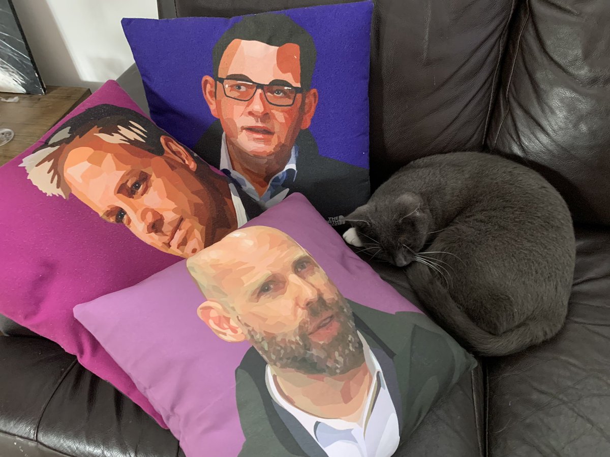 I know I shouldn’t but I’m really going to miss seeing the Covid Commander, Jeroen Weimar on a regular basis. He’s very calming. I would like to attend a dinner party with him & Brett. At least I have my cushions. #covid #CovidVic #Andrews