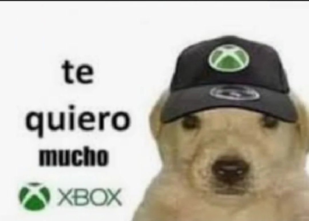 Lalelilolu tweet media