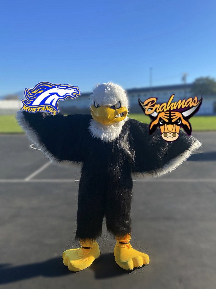 rha_wvusd's tweet image. RHA wants to wish our fellow high schools a fun and exciting #BrandingIron Game tonight. Have fun @Walnut_Mustangs and @DiamondBarHS1 
WHO WILL WIN?!? @WVUSD_Tweet #ReconnectRestoreReimagine
