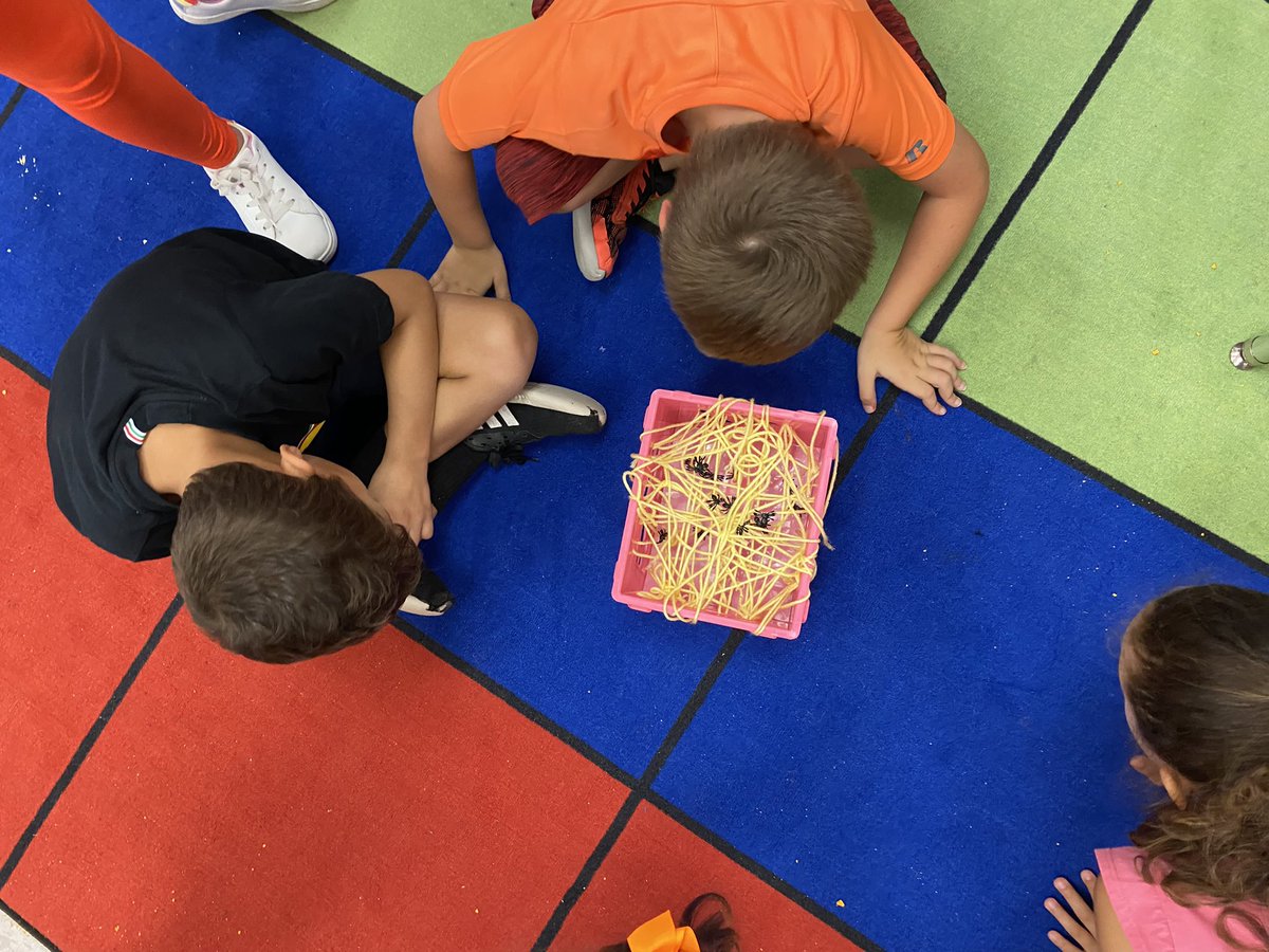 Mandy Keller tweet media