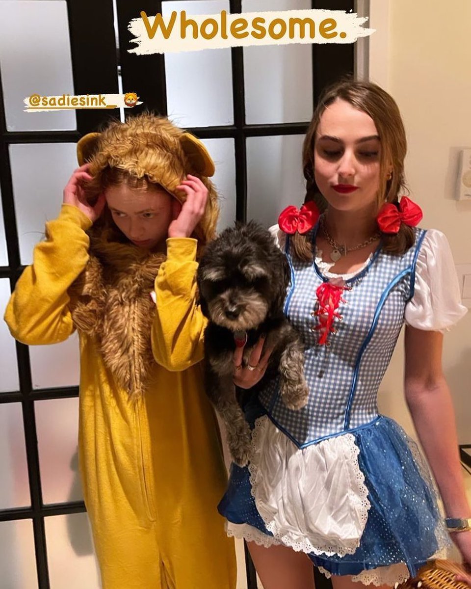 wldgzr's tweet photo. que lidinha a Sadie vestida de leão https://t.co/P8yAYCF18v