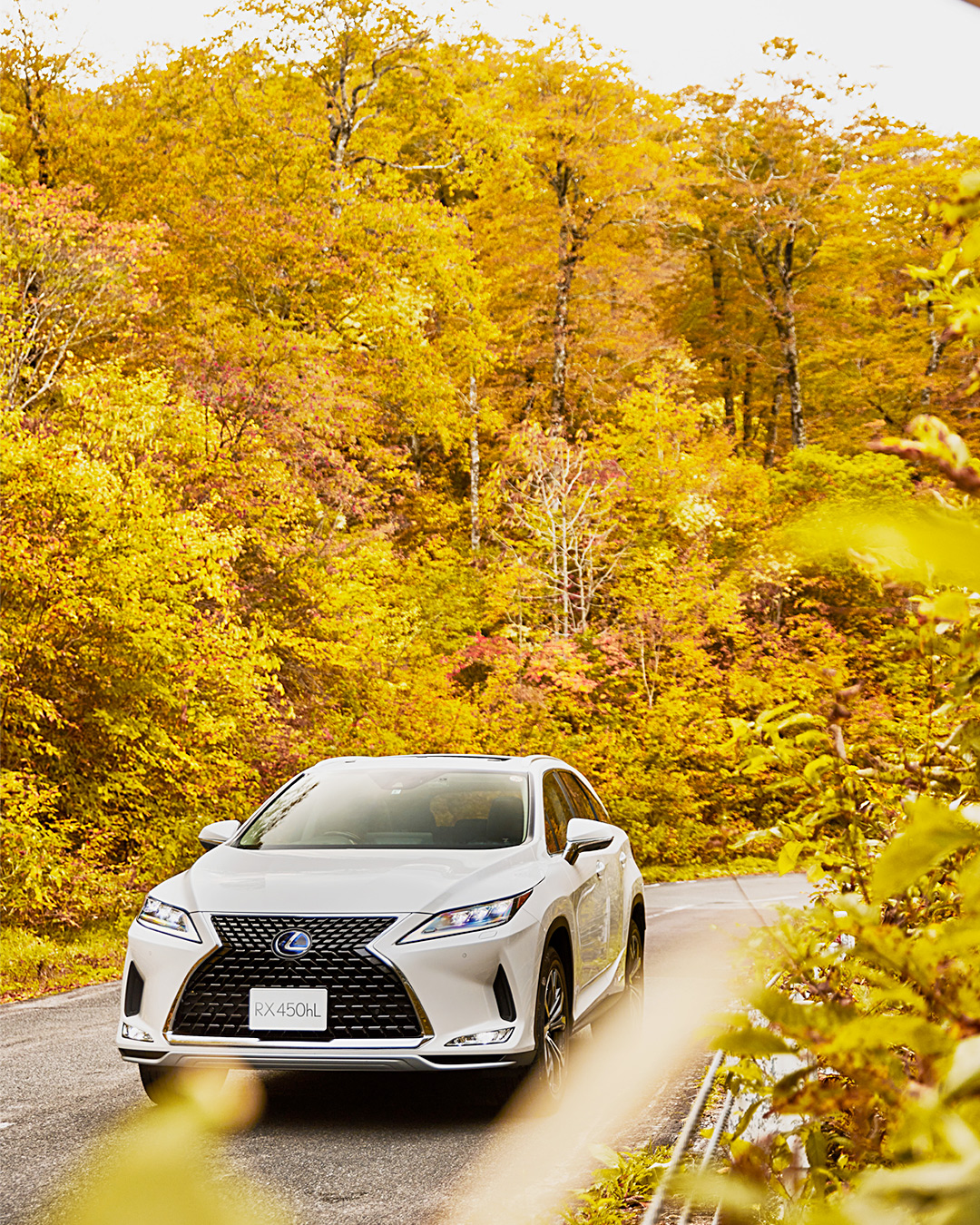 Lexus レクサス 秋色に誘われ 綾錦を纏う T Co Jezmpppaln 紅葉ドライブ レクサス Lexus レクサスrx T Co Tdlucdtjtm Twitter