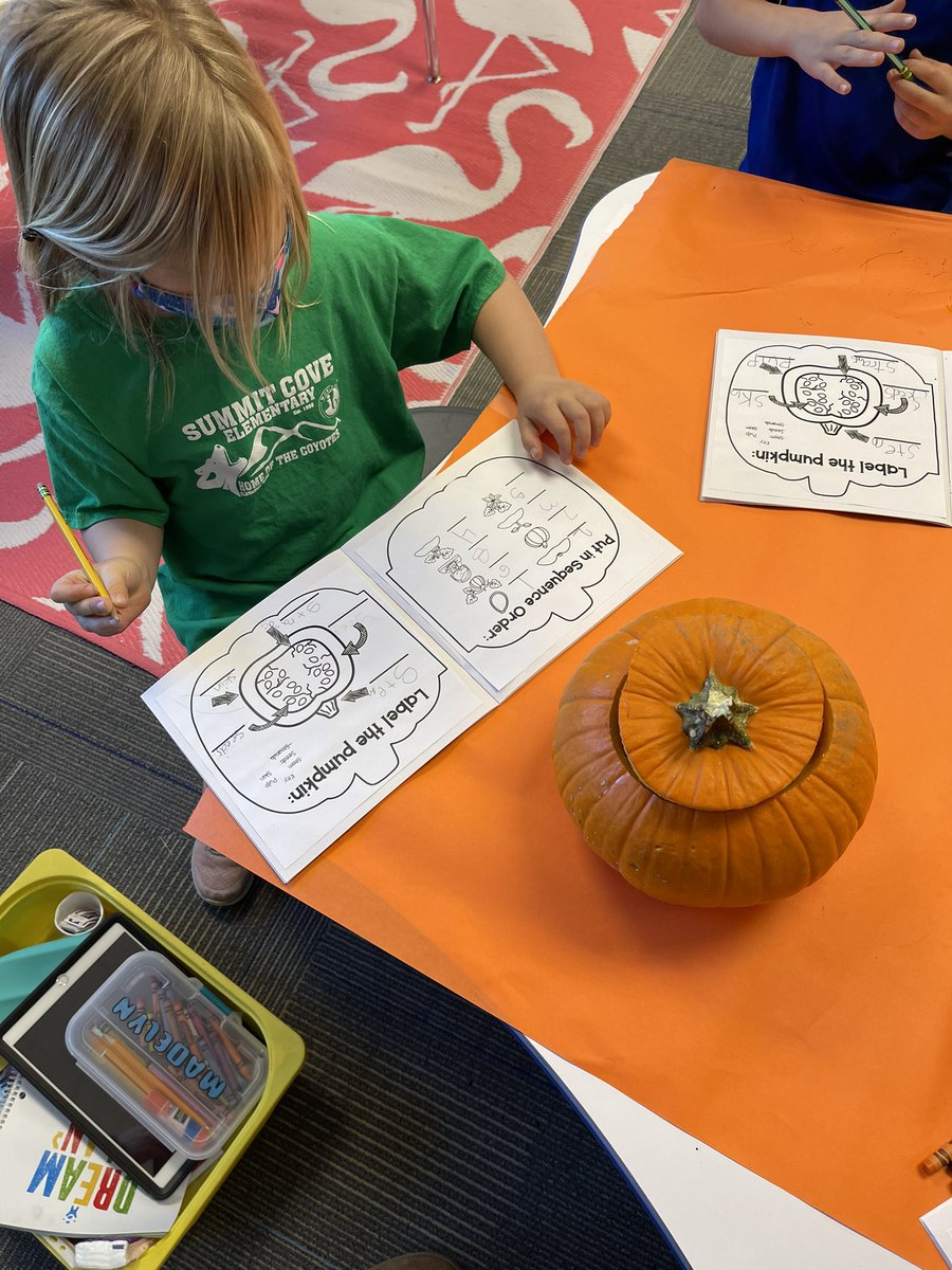 MrsLatekK's tweet photo. Today was so fun exploring pumpkins! @CrysLaneMiller #scoveel https://t.co/QDDDO4P9W2