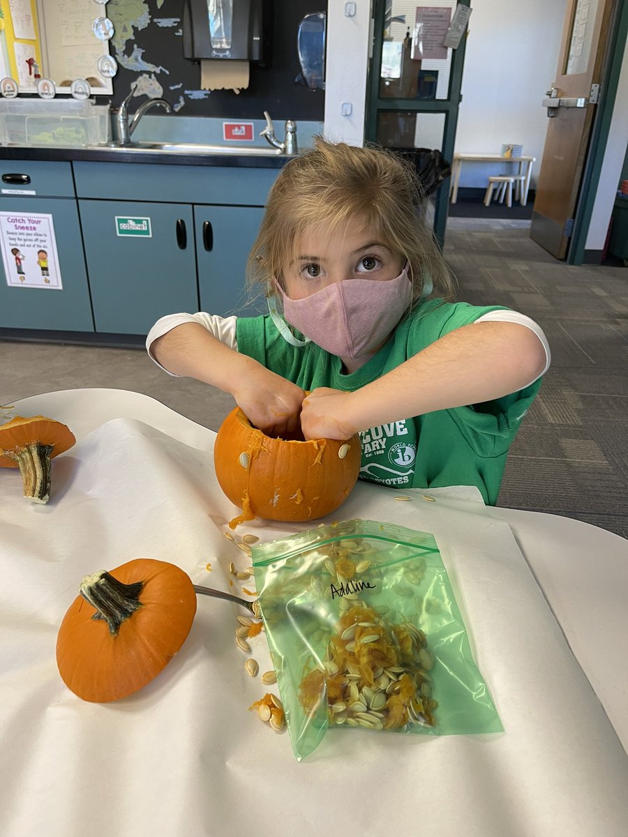 MrsLatekK's tweet photo. Today was so fun exploring pumpkins! @CrysLaneMiller #scoveel https://t.co/QDDDO4P9W2