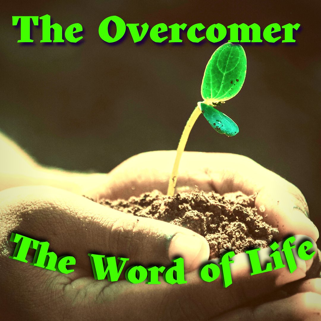 This Sunday:
Encouragement for the saints. The saint of the Lord is an overcomer in every sense of the word. See what the Bible has to say about your place in the kingdom of God.