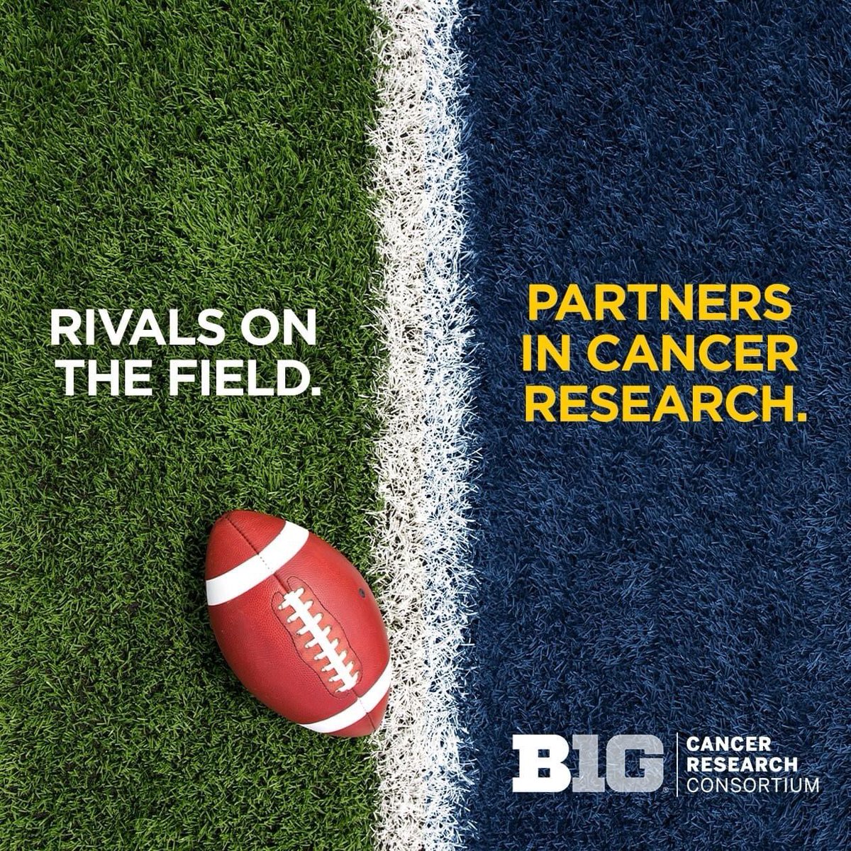 MSU Cancer Research tweet media