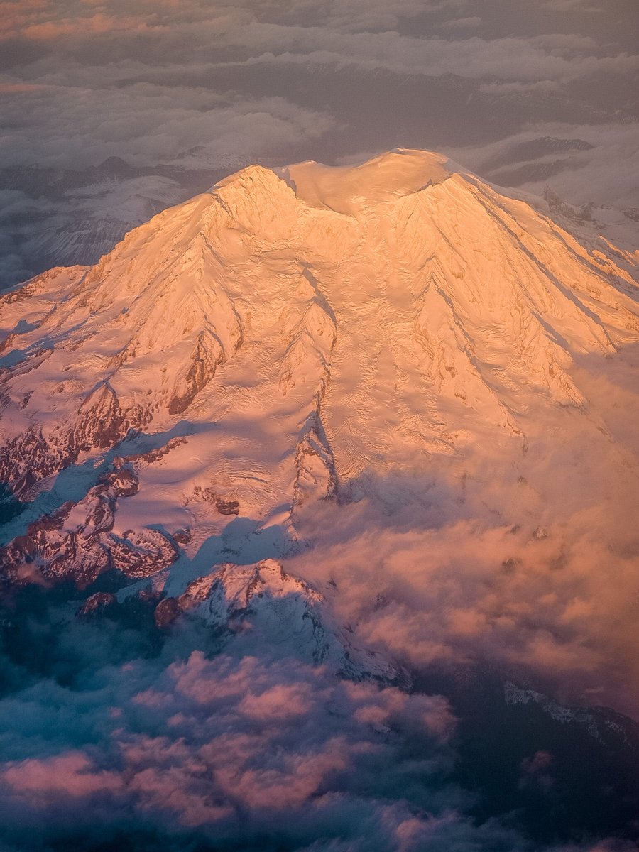 Tatiana Van Campenhout🌲 tweet media