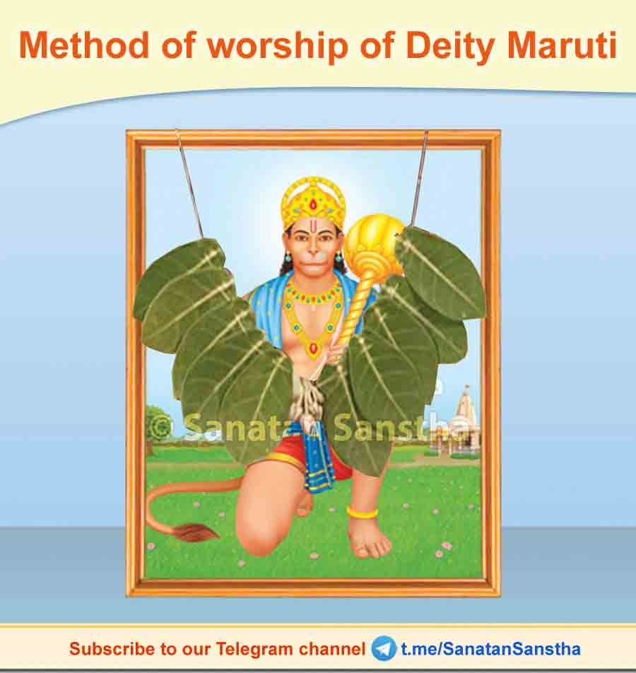 Method of worship of Deity Maruti

Maharashtrians consider Saturday as the day of Hanuman whereas in all other places in India it is Tuesday and Saturday. There is a custom of offering oil and sindur (Vermilion) to Hanuman on this day.