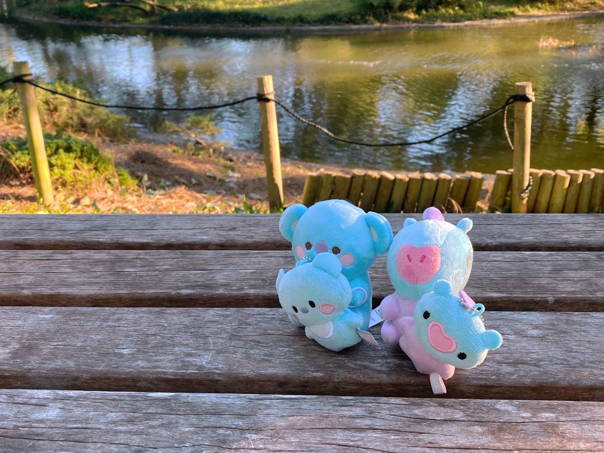 fuzzymang's tweet photo. jelly babie mamngie went out on a reading adventure today wit Koya fwend and also got a new tiny mamng sibling https://t.co/o5Ny0Hlhxi