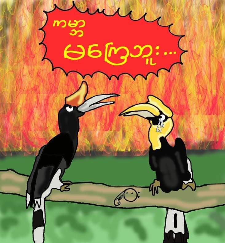 No pardon for you till the end of the world - (gabar makyay bu).

More than 270 houses incl churches have been burnt down to the ground in the fire started yesterday(Oct29) due to the deliberate shelling of artillery barrage by Military.
#HelpChinState
#WhatsHappeningInMyanmar