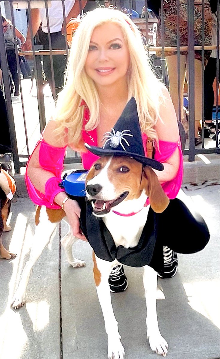 christiedeyx's tweet photo. Me and my baby Gabrielle. 😍 #Cutestdog #walkercoonhound #rescuedog #HALLOWEEN #babygirl #HappyHalloween https://t.co/TrFCsEEI5C