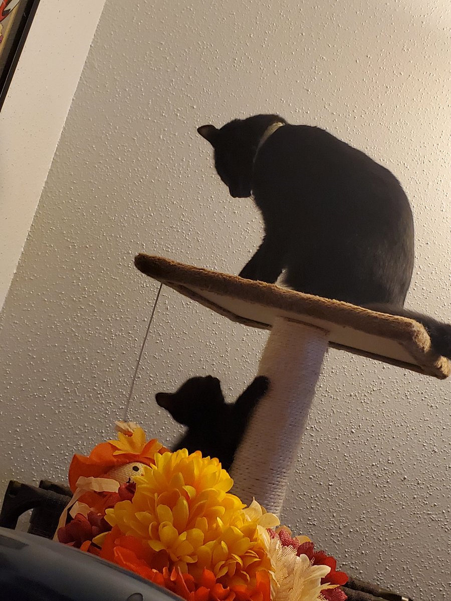 Brendan T. Jones tweet media