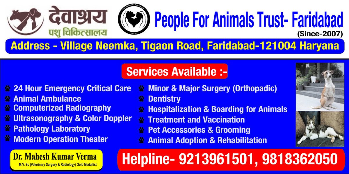 People For Animals Trust Faridabad on Twitter: People For Animals Trust Faridabad on Twitter: