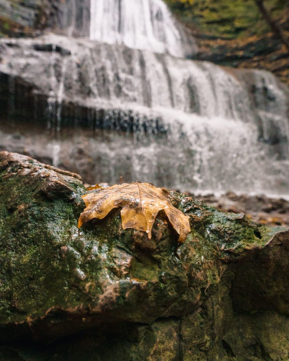 urbanicityHAM's tweet photo. A unique lens on Sherman Falls (Instagram:mrq_adventures)
#HamOnt #Hamilton #ShermanFalls #autumn https://t.co/P5BlIca7fG