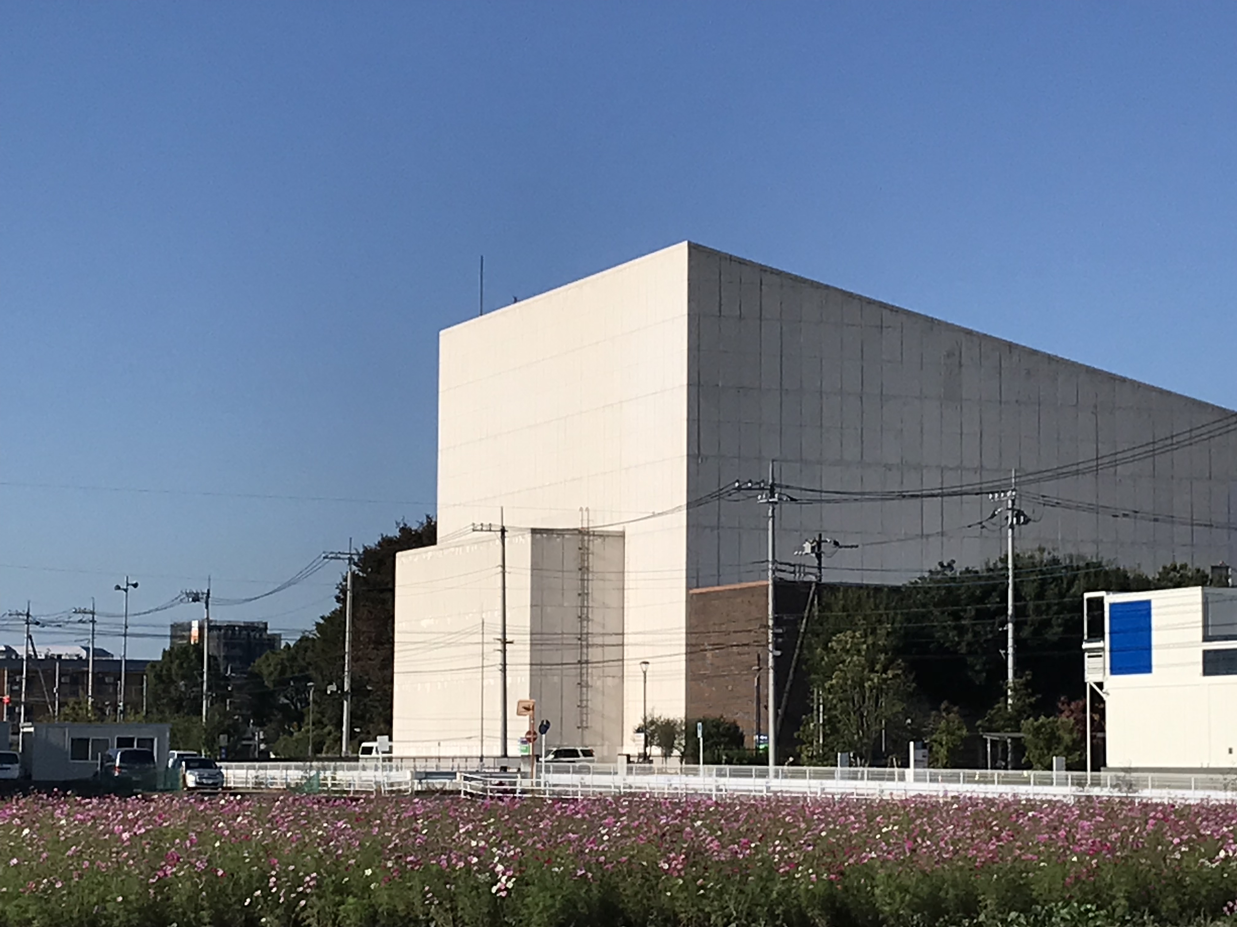 Sale 60 Off ソナーポケット8月14日狭山市市民会館 国内アーティスト Www Smithsfalls Ca