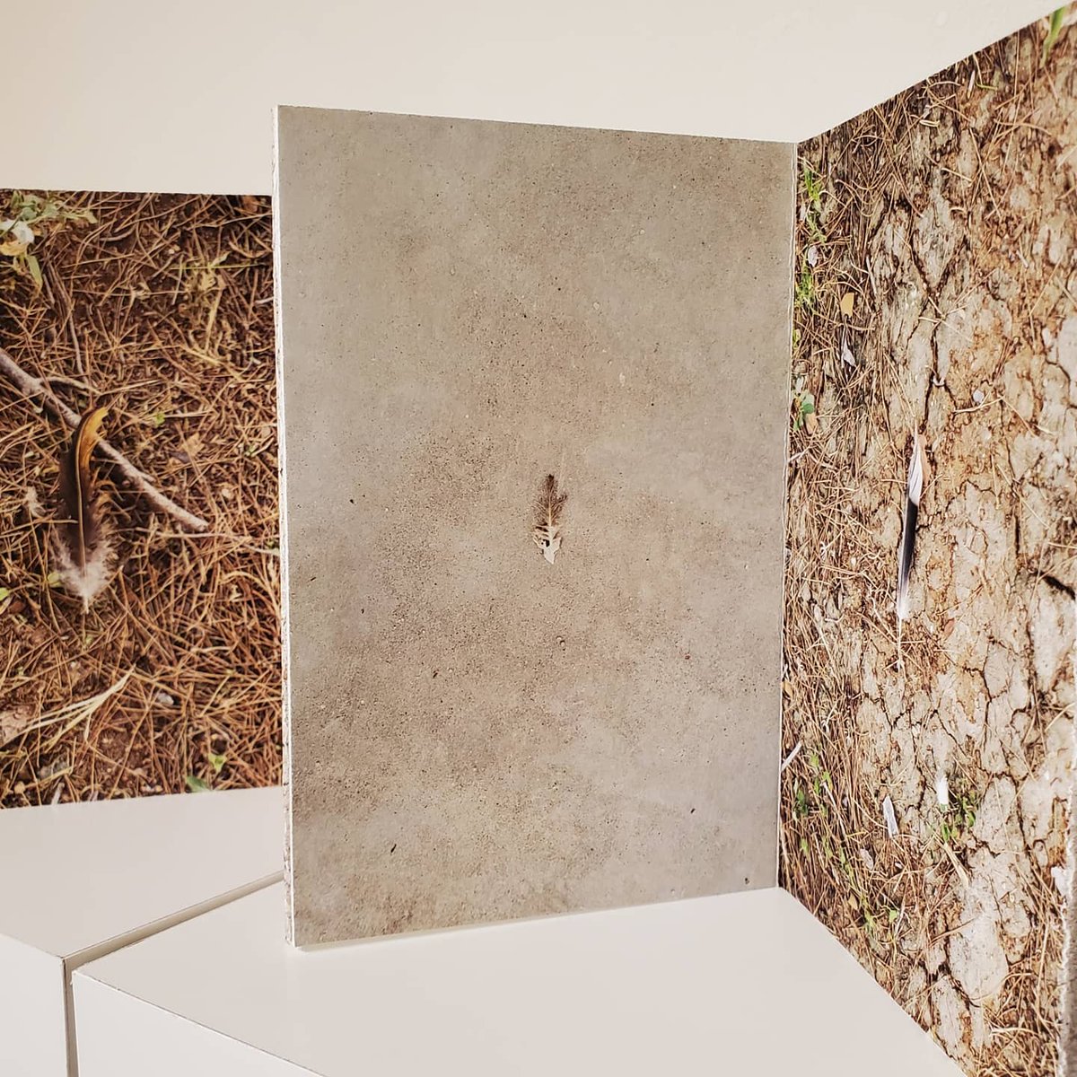 GinaDeGideo's tweet image. A lil spooky found feather image for Halloween weekend for ya from the book &quot;Left Behinds&quot; on view now at @eyelounge 🪶🦴 #featherbone #newwork #whatisleft #nowshowing