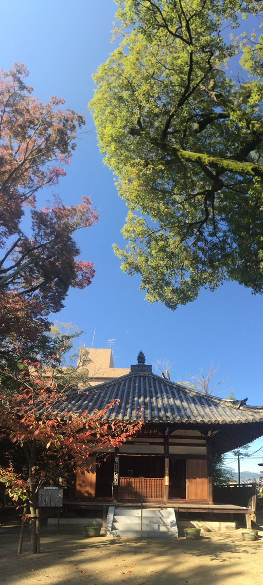 お知らせです！

11月3日 文化の日
10時から15時まで 
ご本尊様並びに蔵にある掛け軸などのご開帳を行います。

写経体験もできますので、お近くにお越しの際は是非お立ち寄り下さいませ^ ^