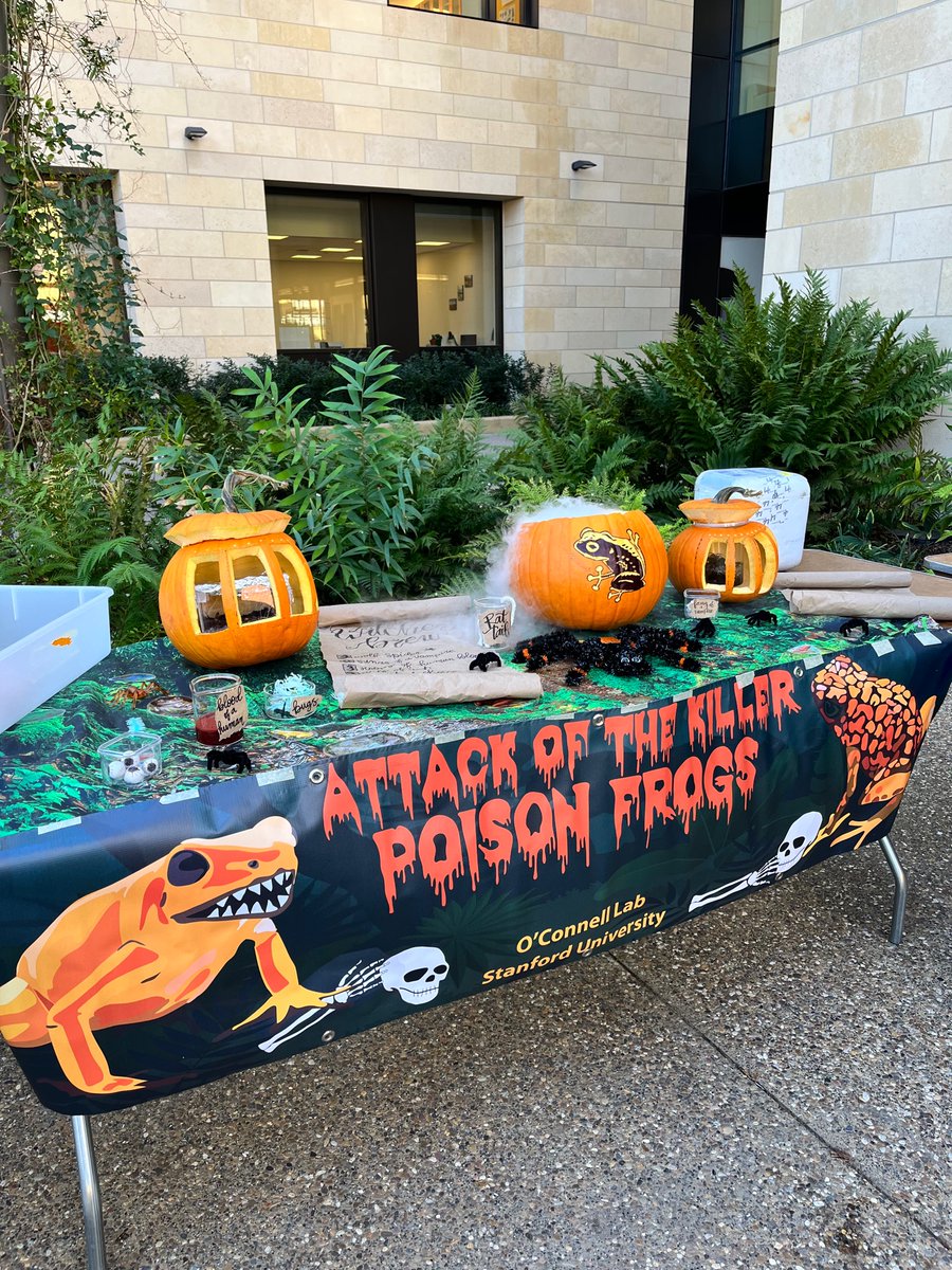 Stephanie Caty (@stephaniecaty) on Twitter photo The <a href="/LOB_SU/">Lab of Organismal Biology</a> entry into the department pumpkin contest: a witches brew, featuring live toads and spiders The <a href="/LOB_SU/">Lab of Organismal Biology</a> entry into the department pumpkin contest: a witches brew, featuring live toads and spiders