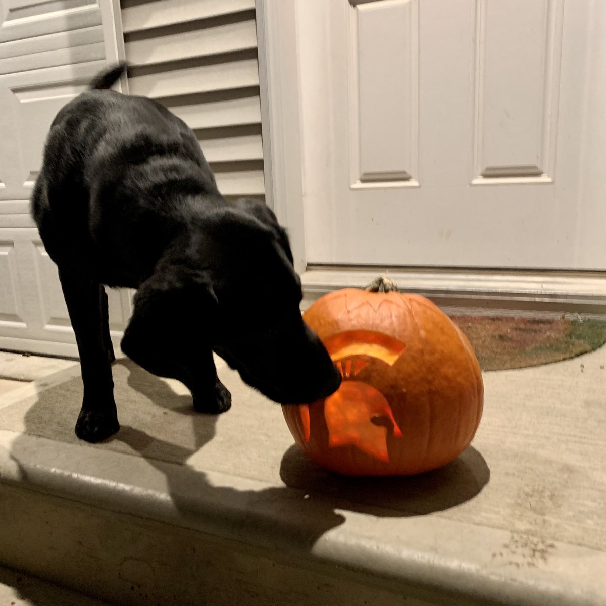 We’re ready for spooky <a href="/MSU_Football/">Michigan State Football</a> tomorrow! 
#gogreen 👻
