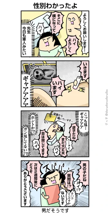 性別わかったけどトラウマもできたよ
#漫画が読めるハッシュタグ #絵日記 #妊婦健診 