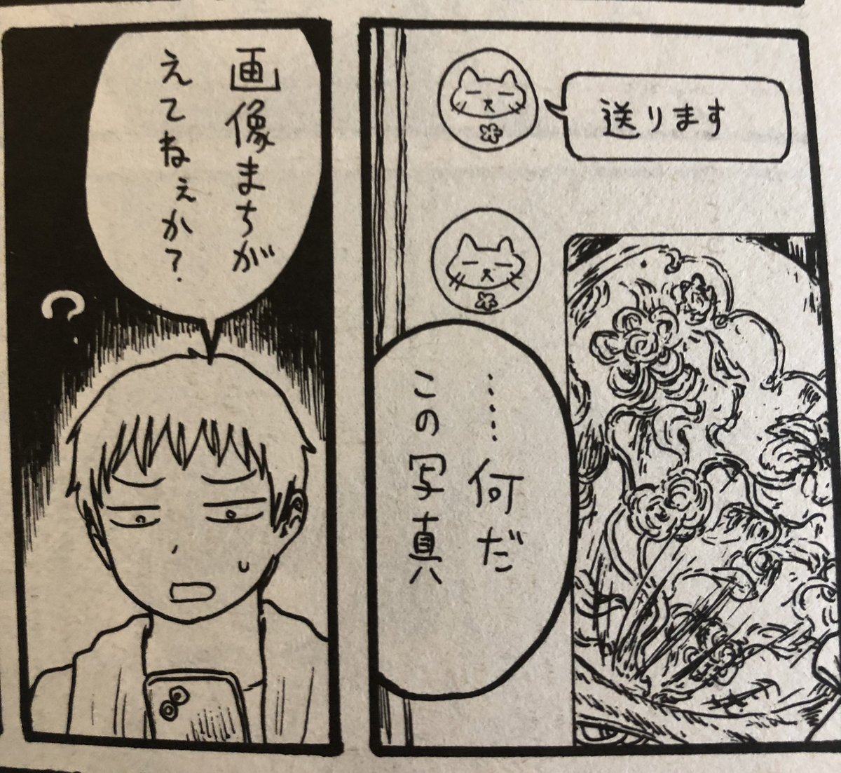 白泉社 楽園に漫画が載っています!今がチャンスです 
