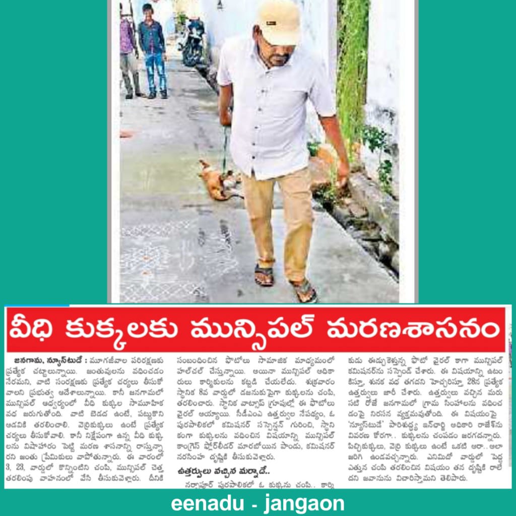 VJangaon's tweet photo. Jangaon Municipality Street dog slaughter
@PetaIndia https://t.co/gZFU4OHqNK