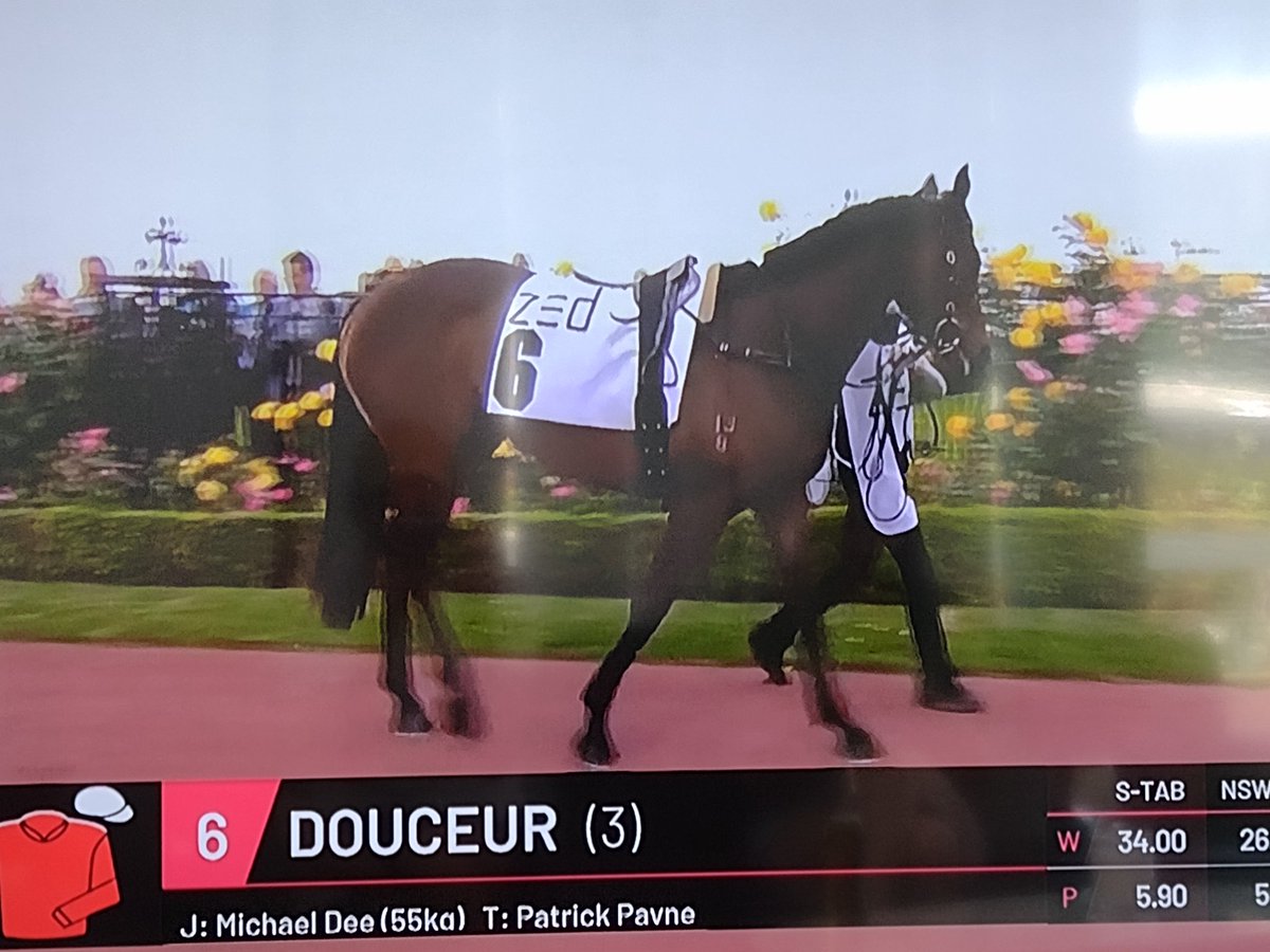 RyanTemplee's tweet photo. How exciting to see Zed being featured on tv already!!! Combined with Zed qualifiers kicking off today everything seems bright for the future!! Thanks to all content creators for getting me involved!!  @zed_run @MJ_Stables @SEANvsALL @SyntribosStable
 (Excuse the poor photo) https://t.co/GTsAYVsvRX
